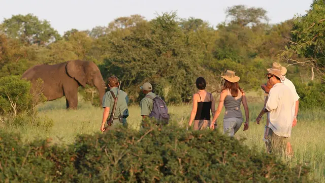 Rhino Walking Safaris — image 1
