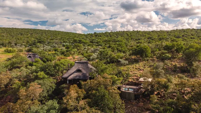 Makweti Safari Lodge — image 3