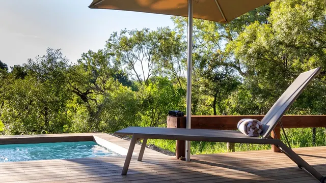 Simbavati River Lodge — image 4