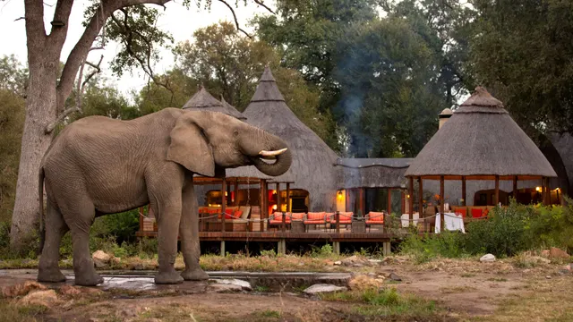Hoyo-Hoyo Safari Lodge — image 1