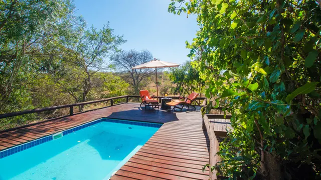 Safari lodge pool deck in the bush
