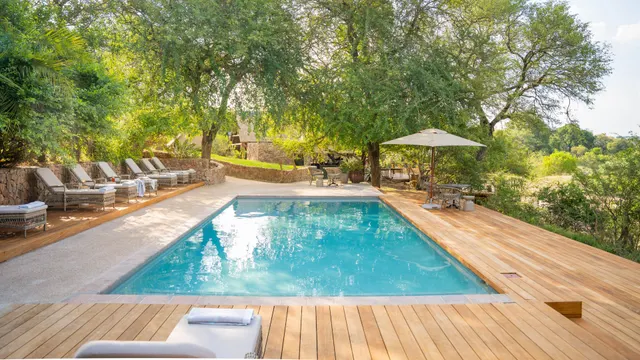Thornybush Game Lodge — image 5