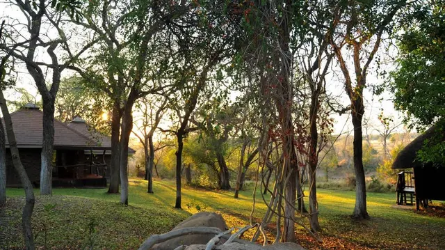 Idube Game Lodge — image 2