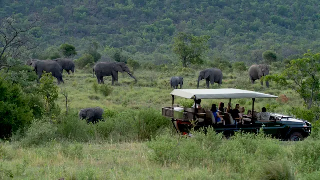 Inzalo Safari Lodge — image 4