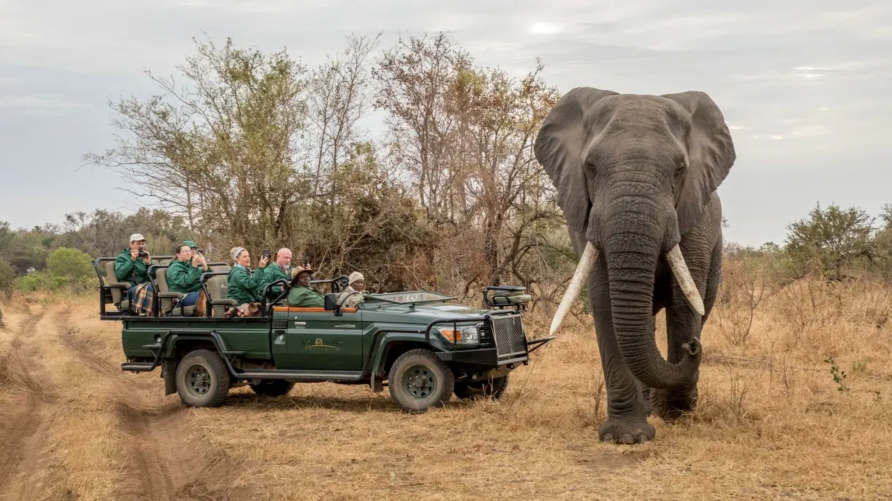 Chisomo Safari Camp — image 7