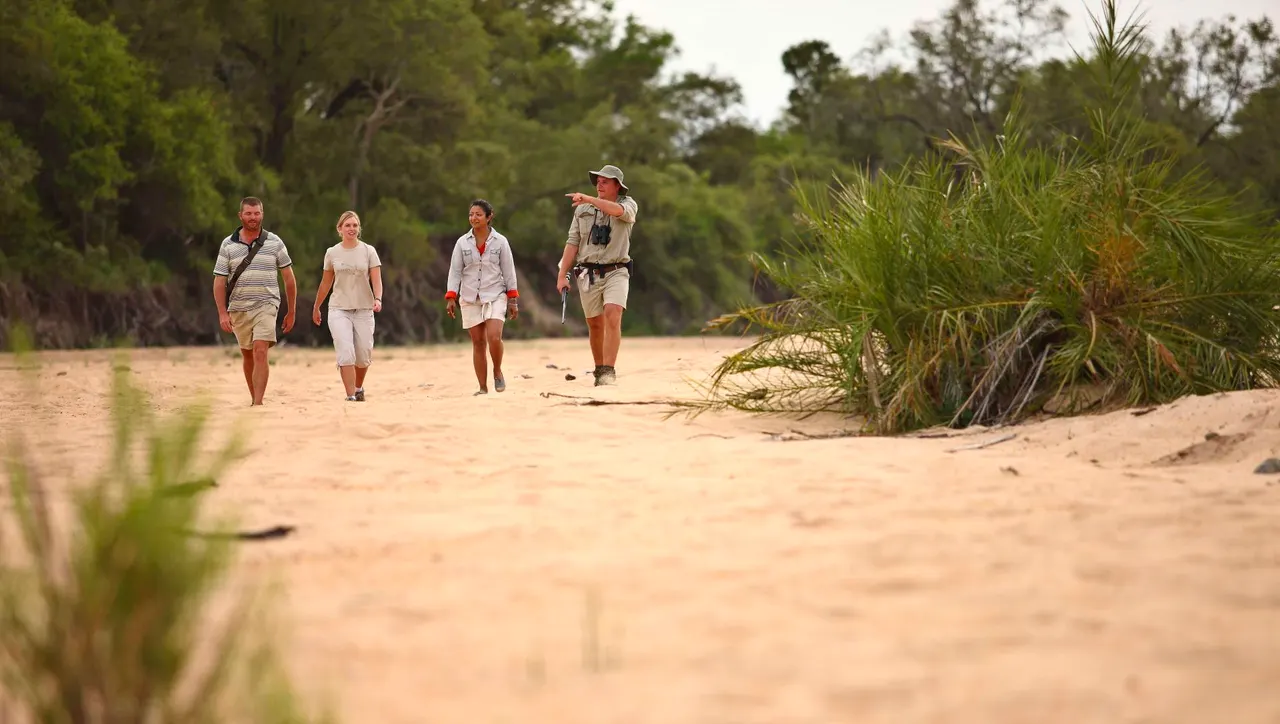 Ngala Tented Camp — image 5
