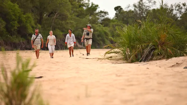 Ngala Tented Camp — image 5