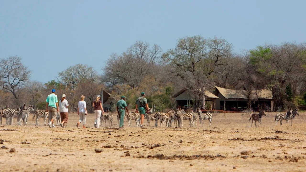 Rhino Walking Safaris — image 3