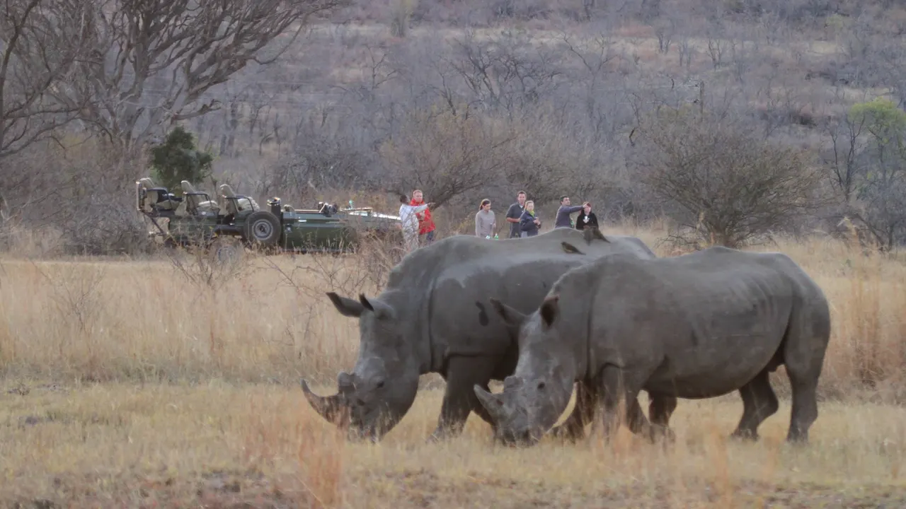 Inzalo Safari Lodge — image 10