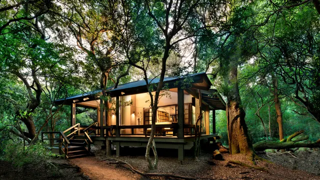 Phinda Forest Lodge — image 1