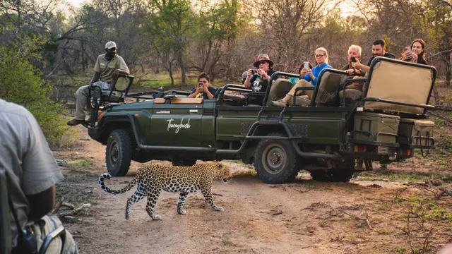 Thornybush Game Lodge — image 6