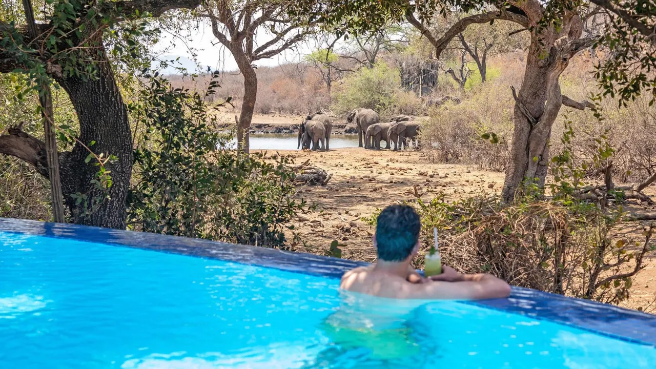 Tuningi Safari Lodge — image 3