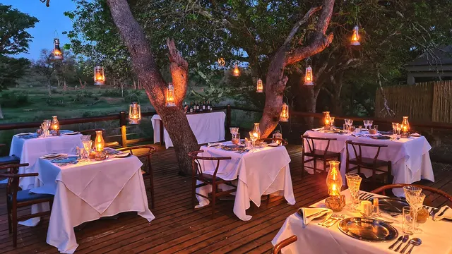 Becks Safari Lodge — image 25