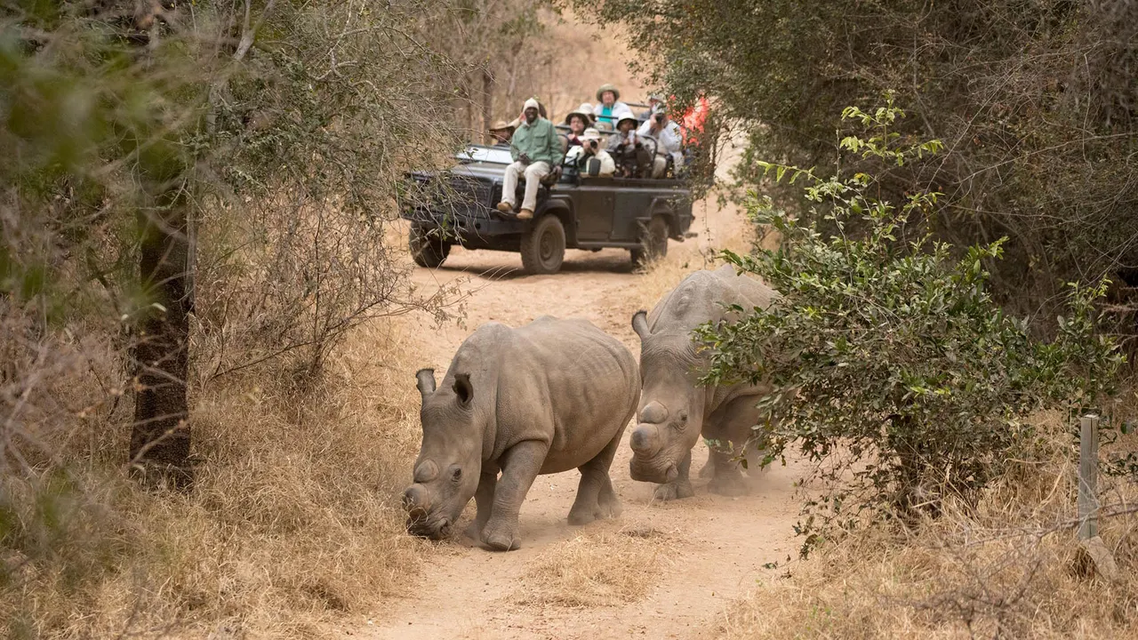 Becks Safari Lodge — image 19