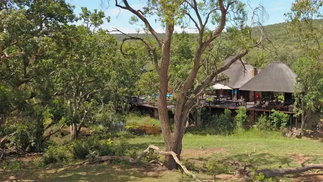 Ndlovu Safari Lodge — image 20