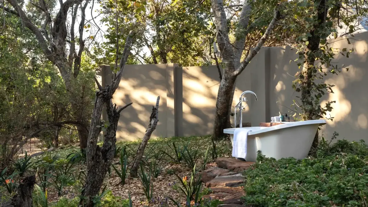 Ndlovu Safari Lodge — image 22