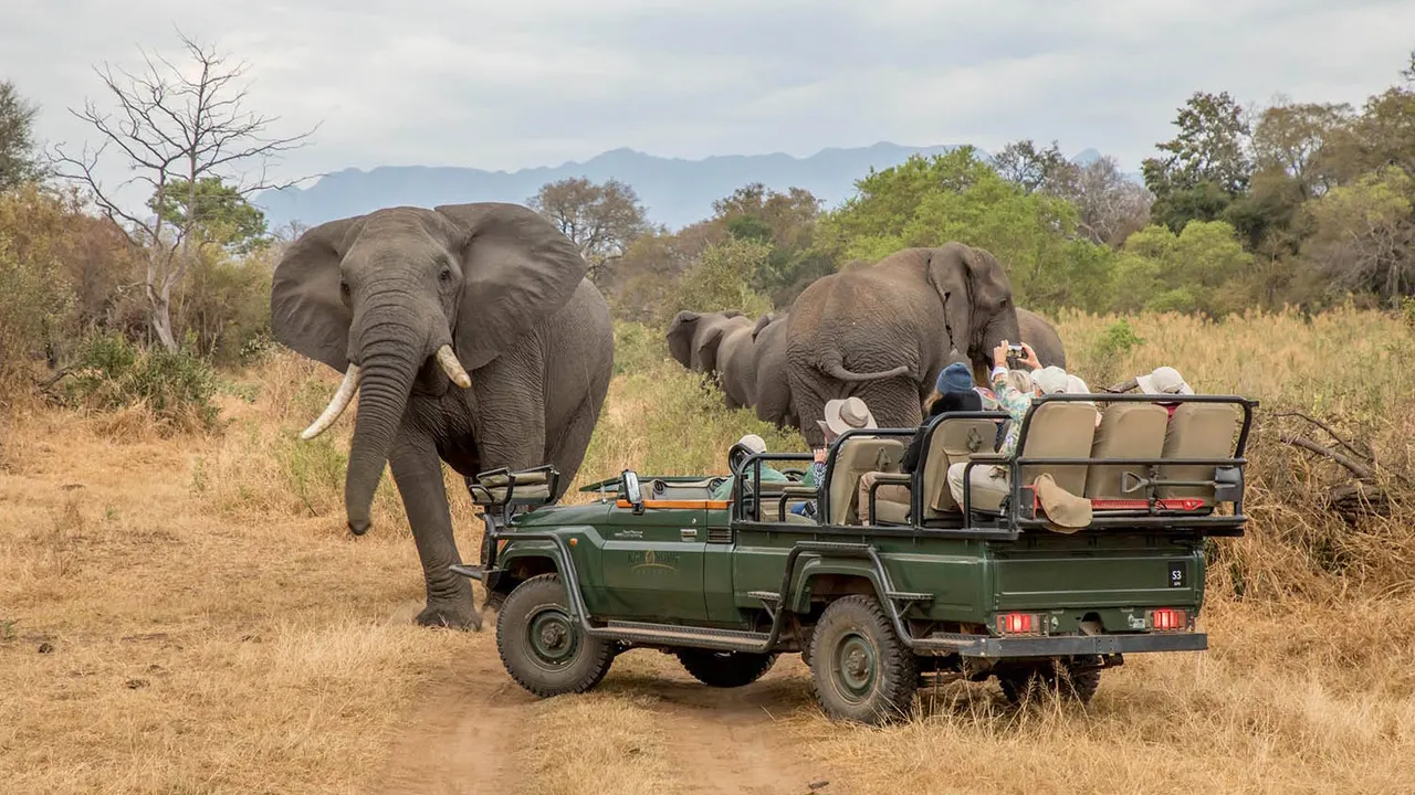 Chisomo Safari Camp — image 17