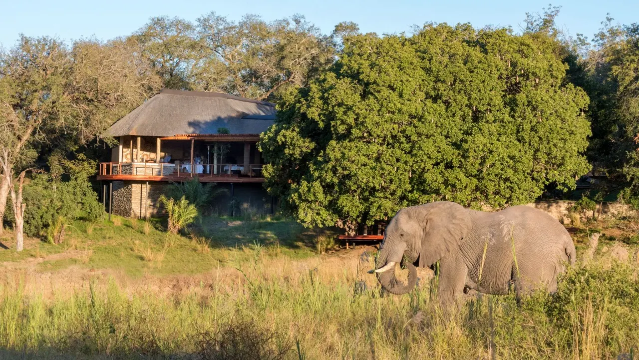 Dulini River Lodge — image 16