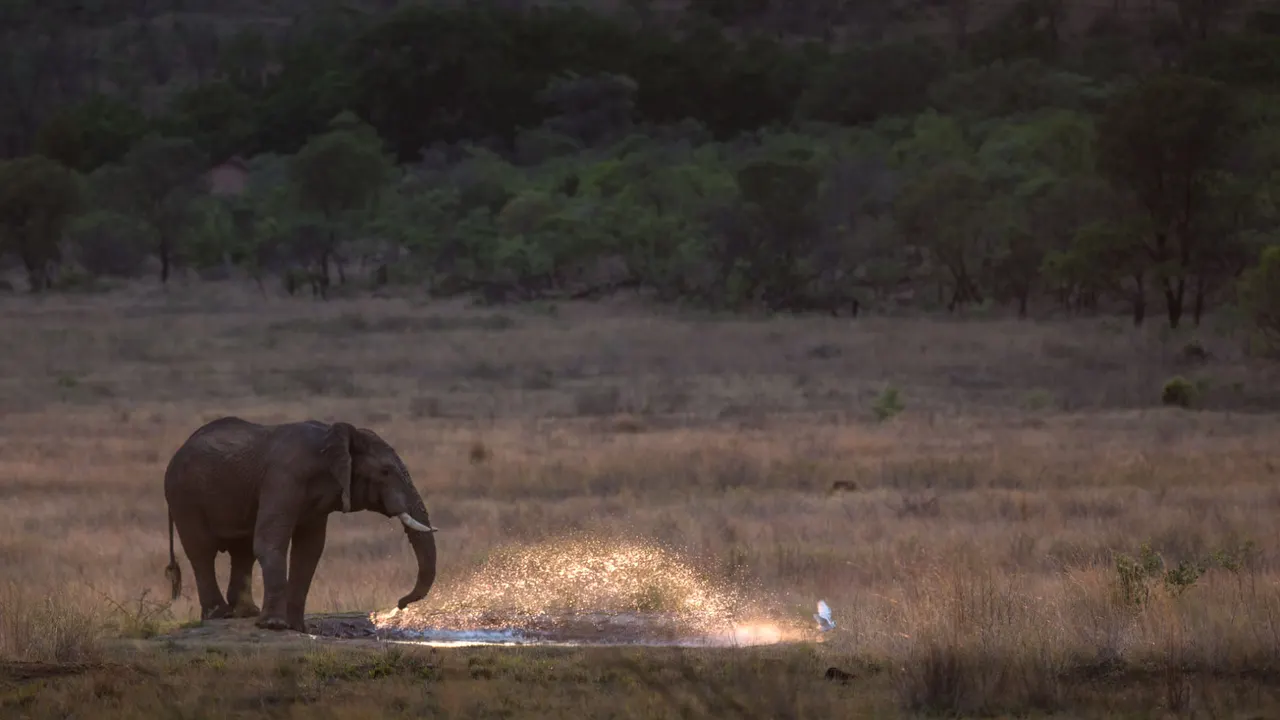 Ekuthuleni Lodge — image 24
