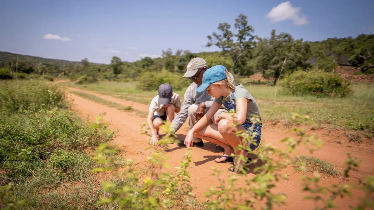 Ekuthuleni Lodge — image 17