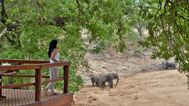Hamiltons Tented Camp — image 11