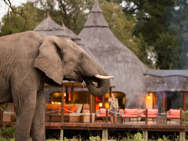 Hoyo-Hoyo Safari Lodge