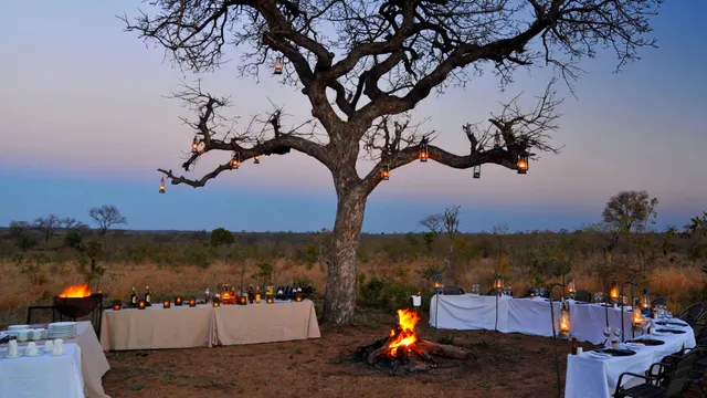 Idube Game Lodge — image 9