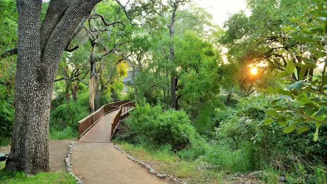 Imbali Safari Lodge — image 17