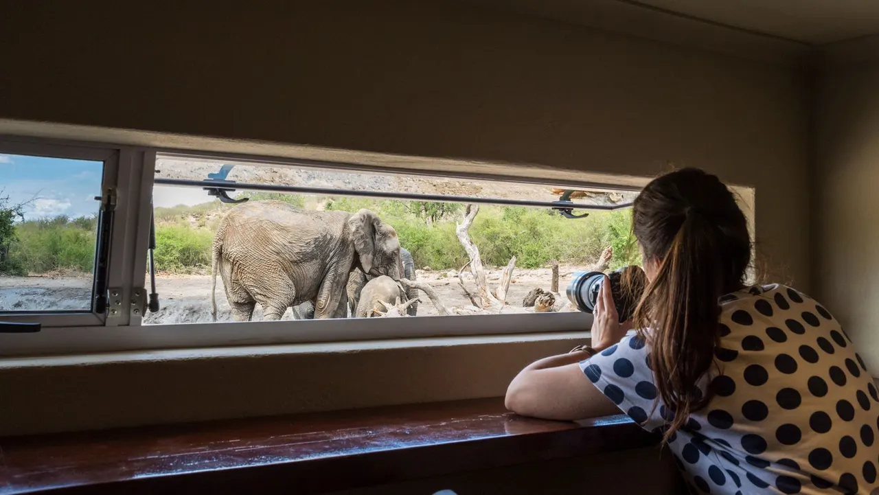 Impodimo Game Lodge — image 11