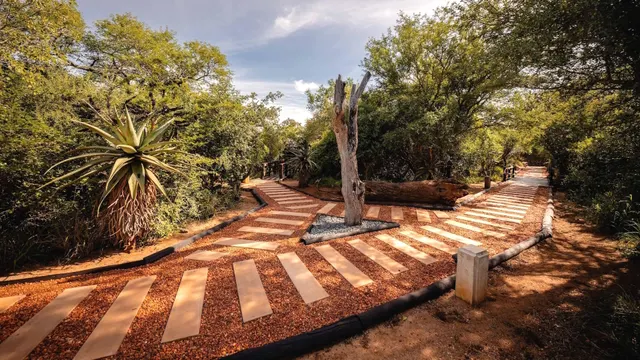 Kapama Buffalo Camp — image 22