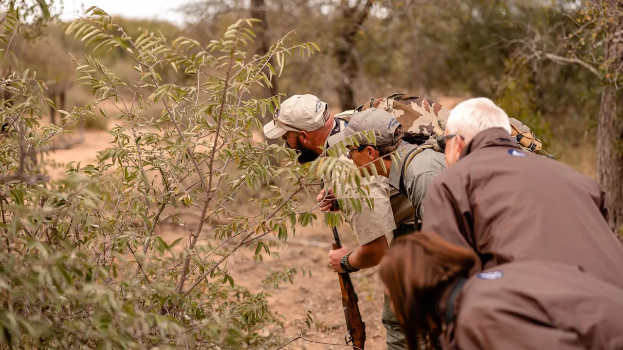 Kapama Buffalo Camp — image 24
