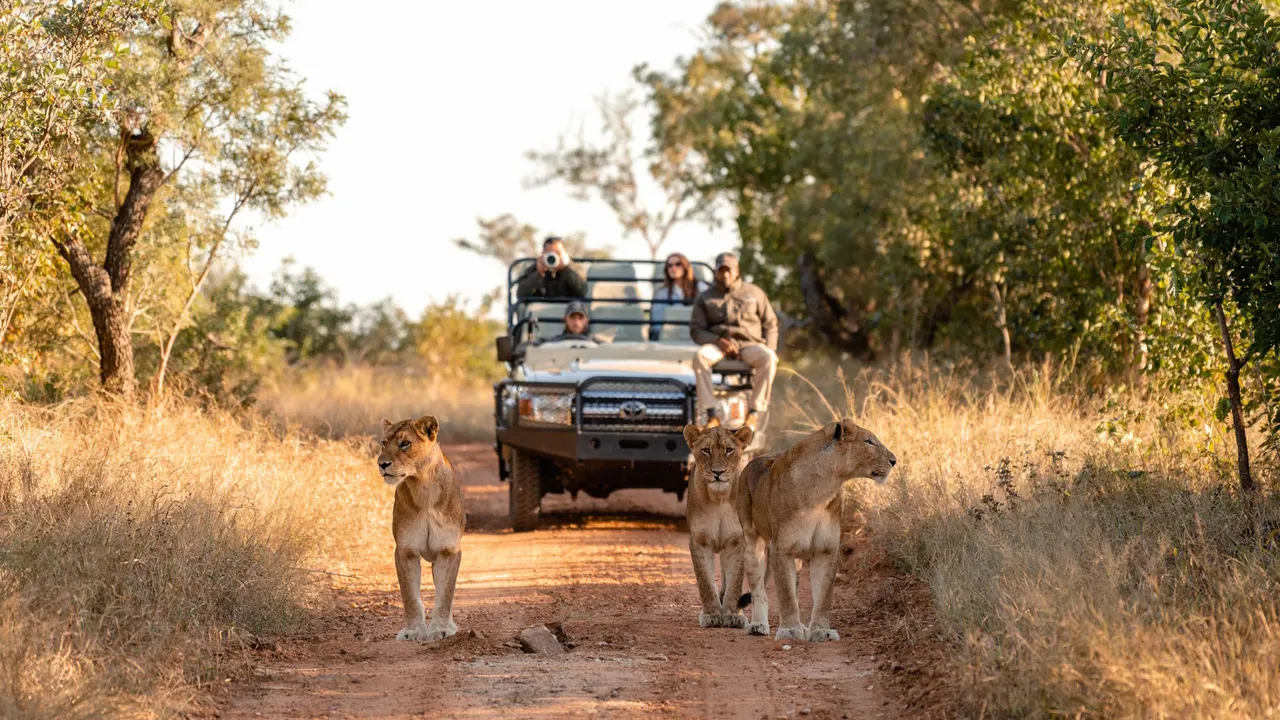Kapama Buffalo Camp — image 14