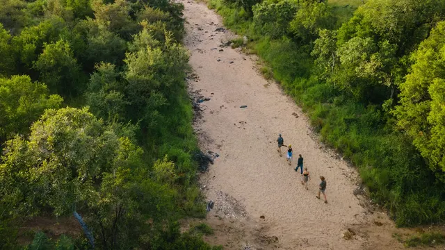 Klaserie Drift Misava Camp — image 17