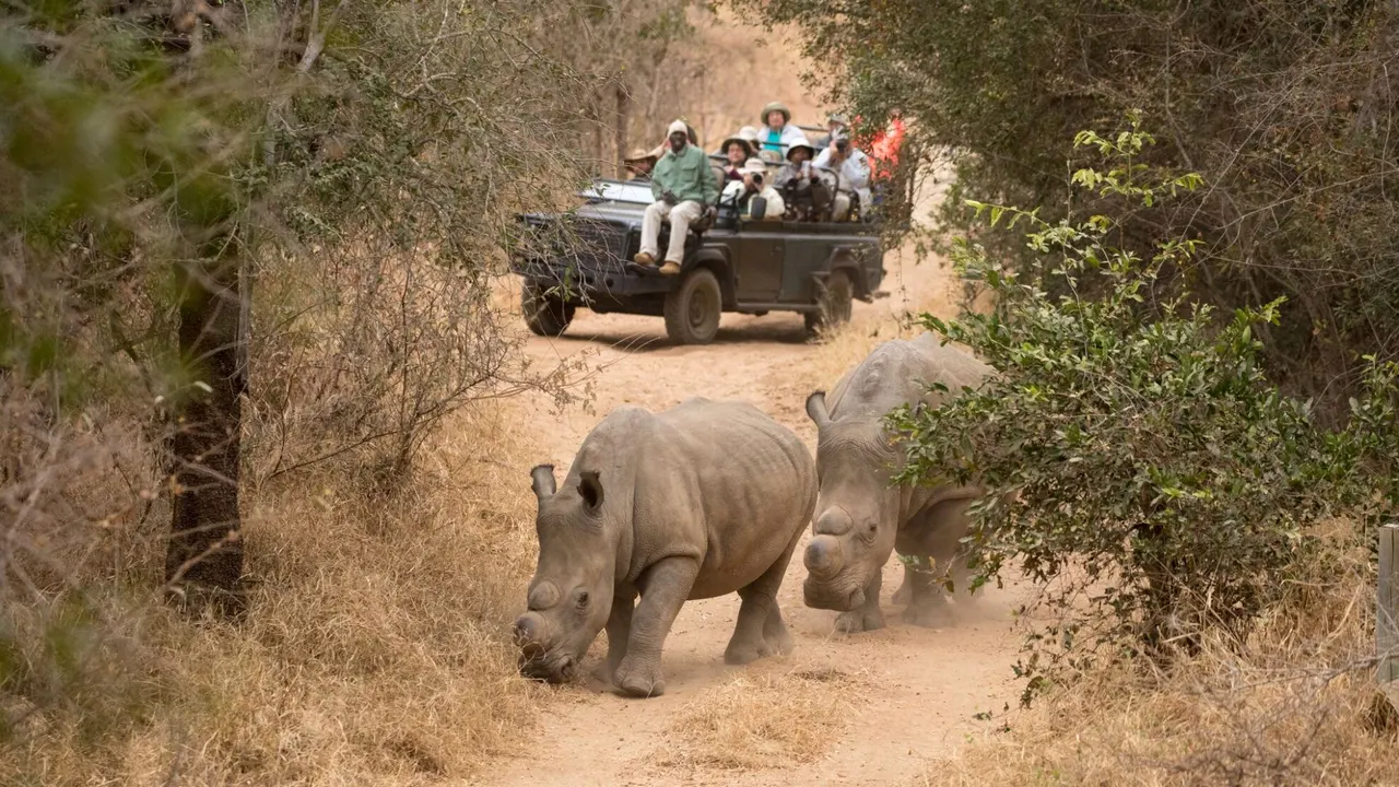 Noka House — image 10