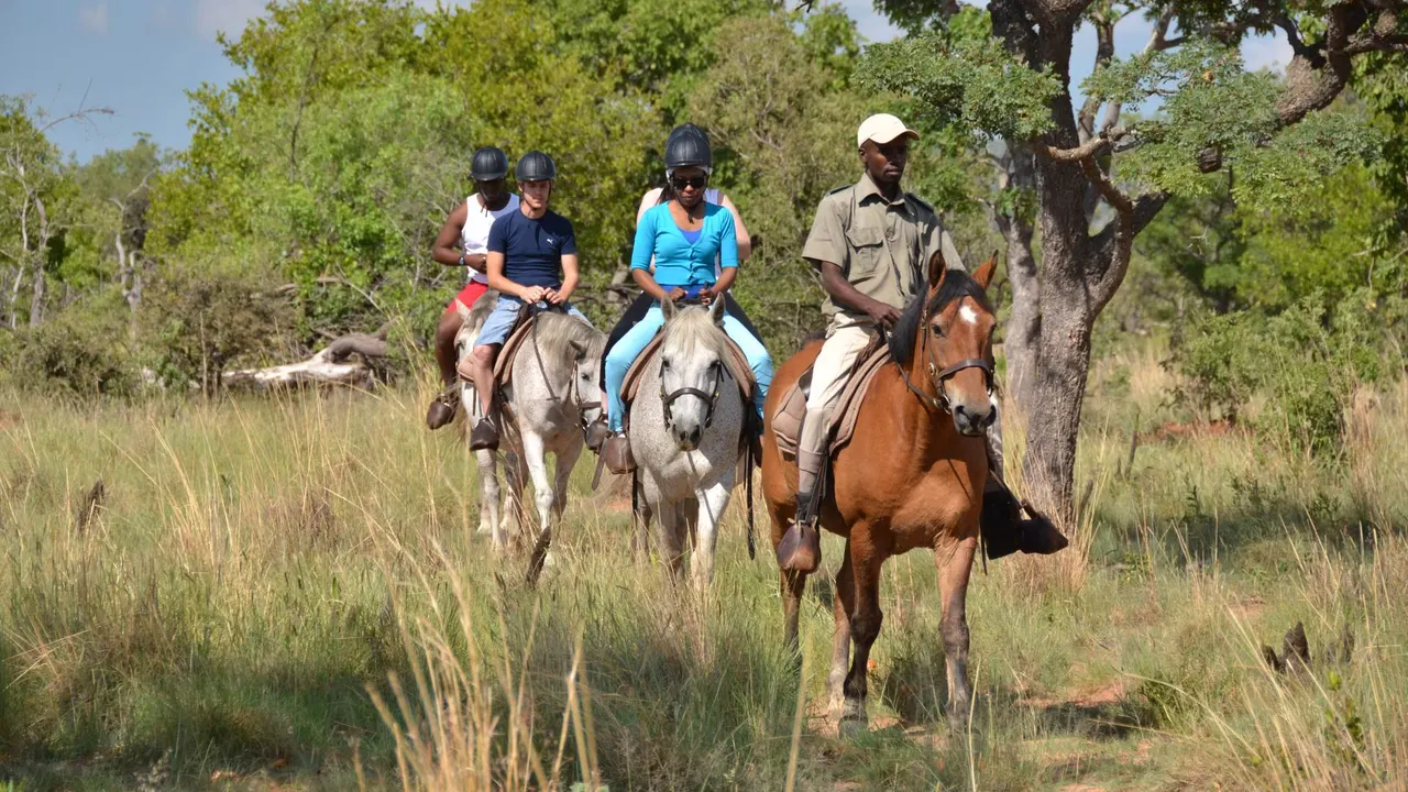 Kwafubesi Tented Camp — image 17