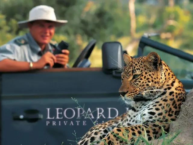 Leopard Hills