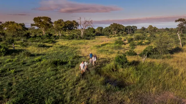 Lukimbi Safari Lodge — image 19