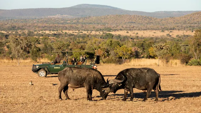 Mabula Lodge — image 19