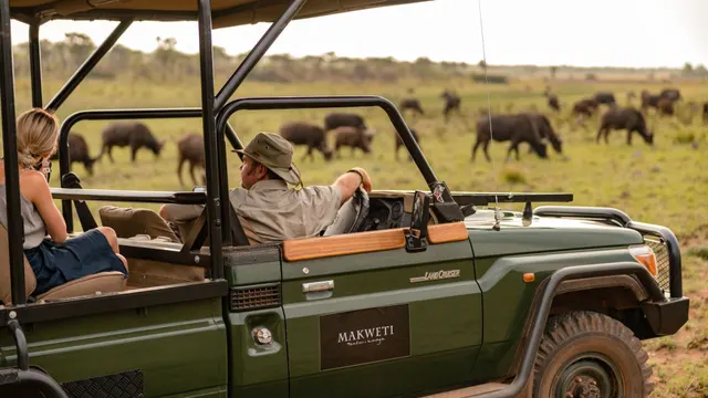 Makweti Safari Lodge — image 15