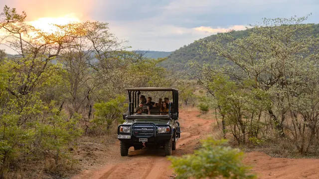 Makweti Safari Lodge — image 18