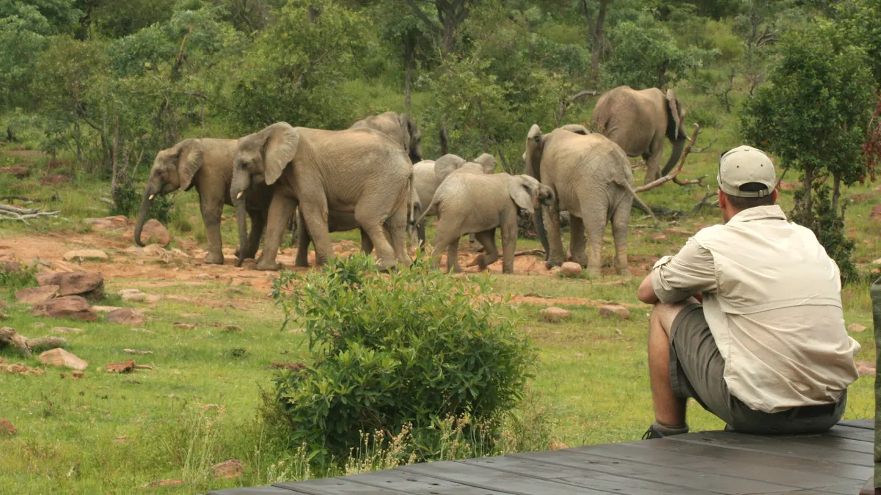 Makweti Safari Lodge — image 25