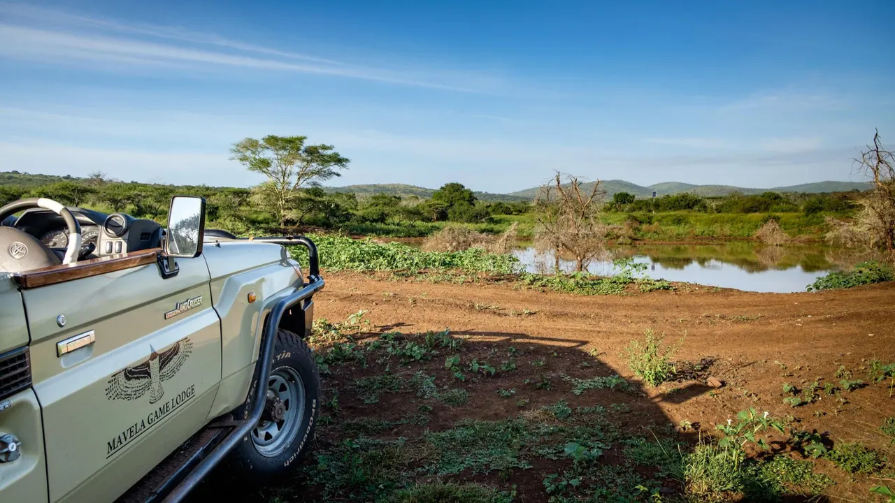 Mavela Game Lodge — image 21