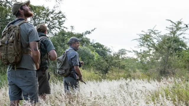 Mavela Game Lodge — image 14