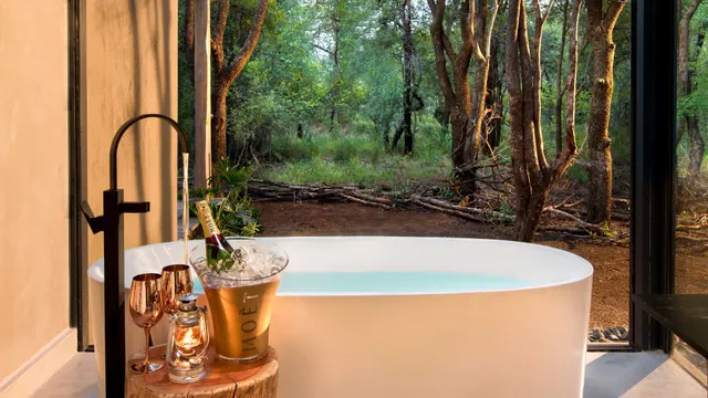 Mbazo Safari Lodge — image 13
