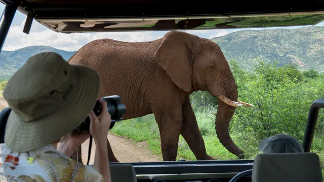 Mbazo Safari Lodge — image 18