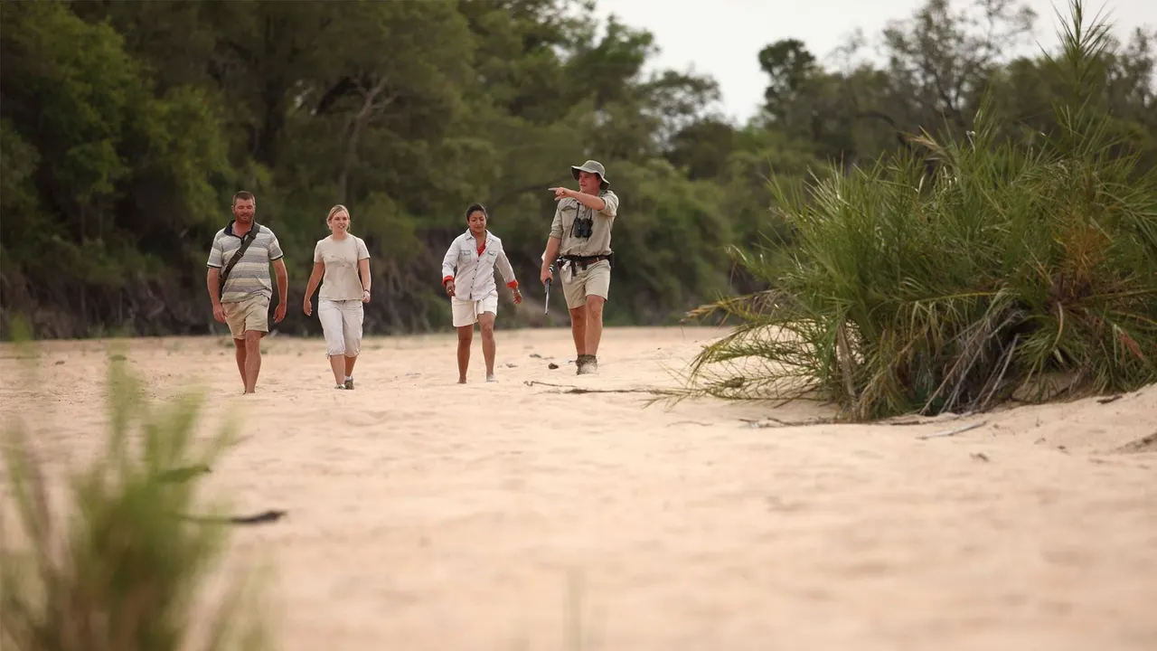 Ngala Safari Lodge — image 15