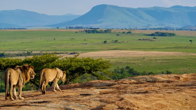 Nkomazi Tented Camp — image 16