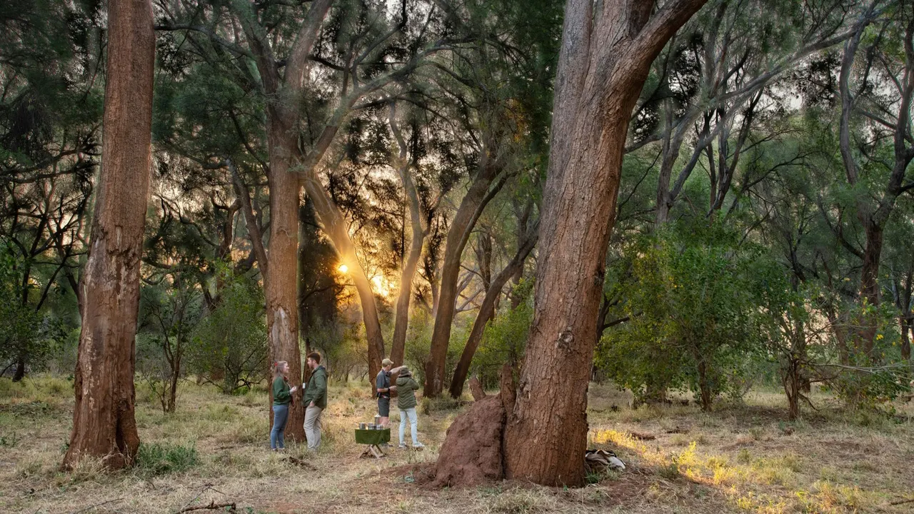 Pafuri Camp — image 23