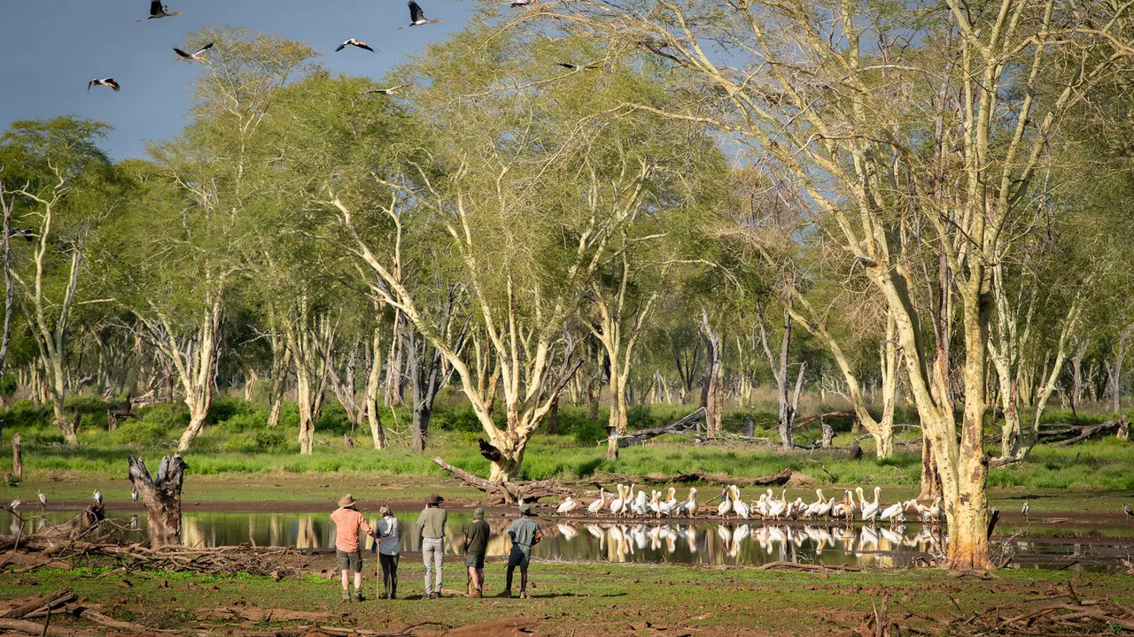 Pafuri Camp — image 10