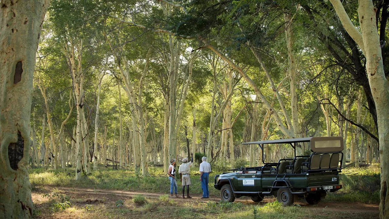 Pafuri Camp — image 19